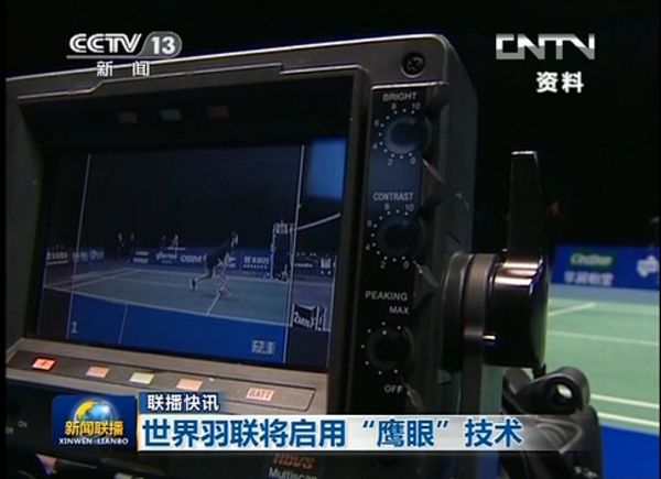 鹰眼鹰眼，洞察世界的神秘视觉