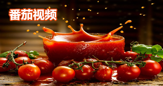番茄视频在线直播观看免费番茄视频在线直播观看免费攻略