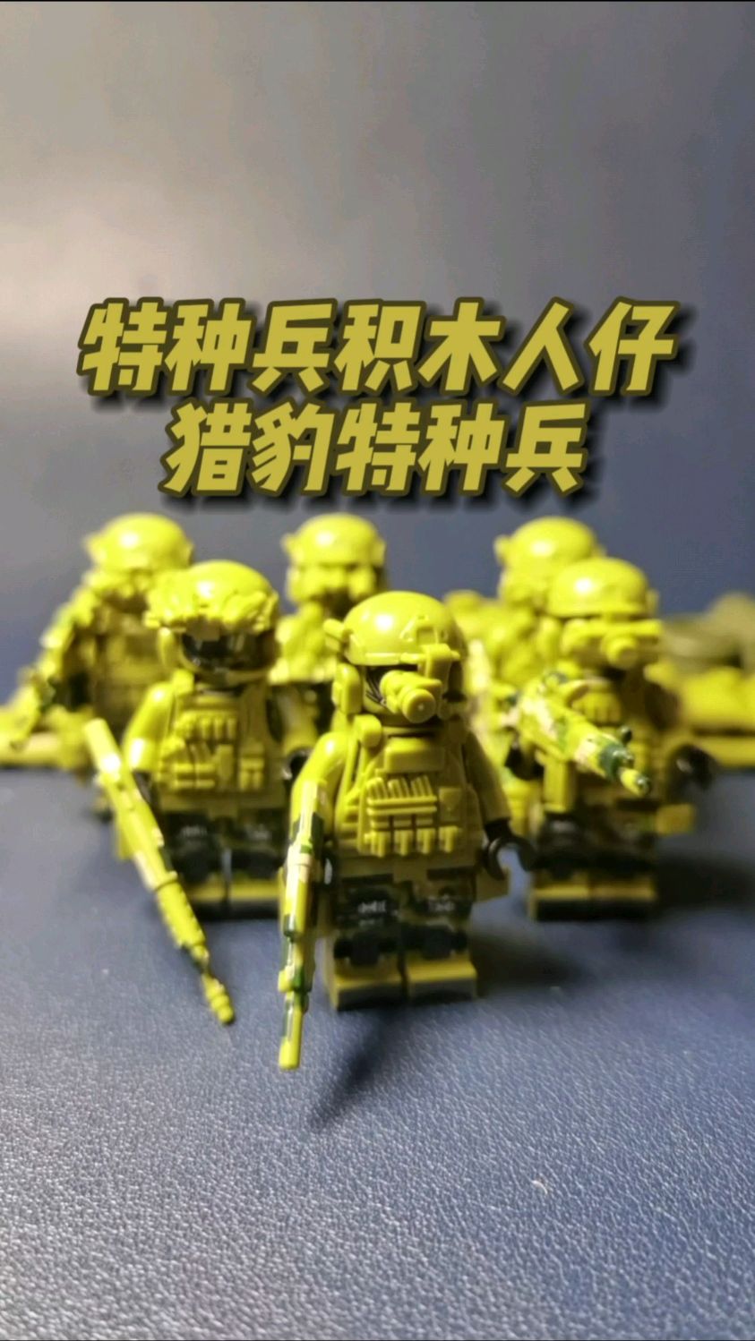 特种高手在都市段浪特种高手在都市