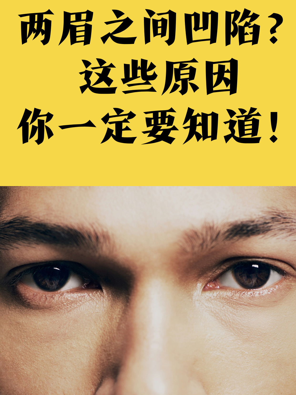 免费永久看黄神器，探索隐藏的诱惑-第1张图片