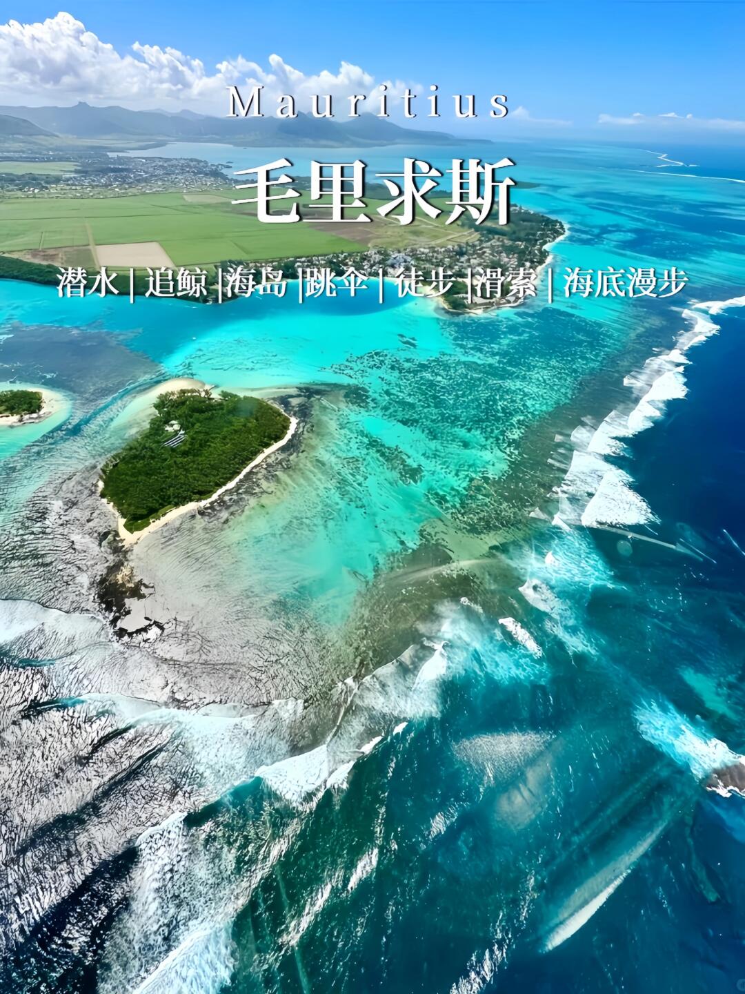 天堂网中文在线WWW天堂网中文在线，网络世界的璀璨明珠-第3张图片