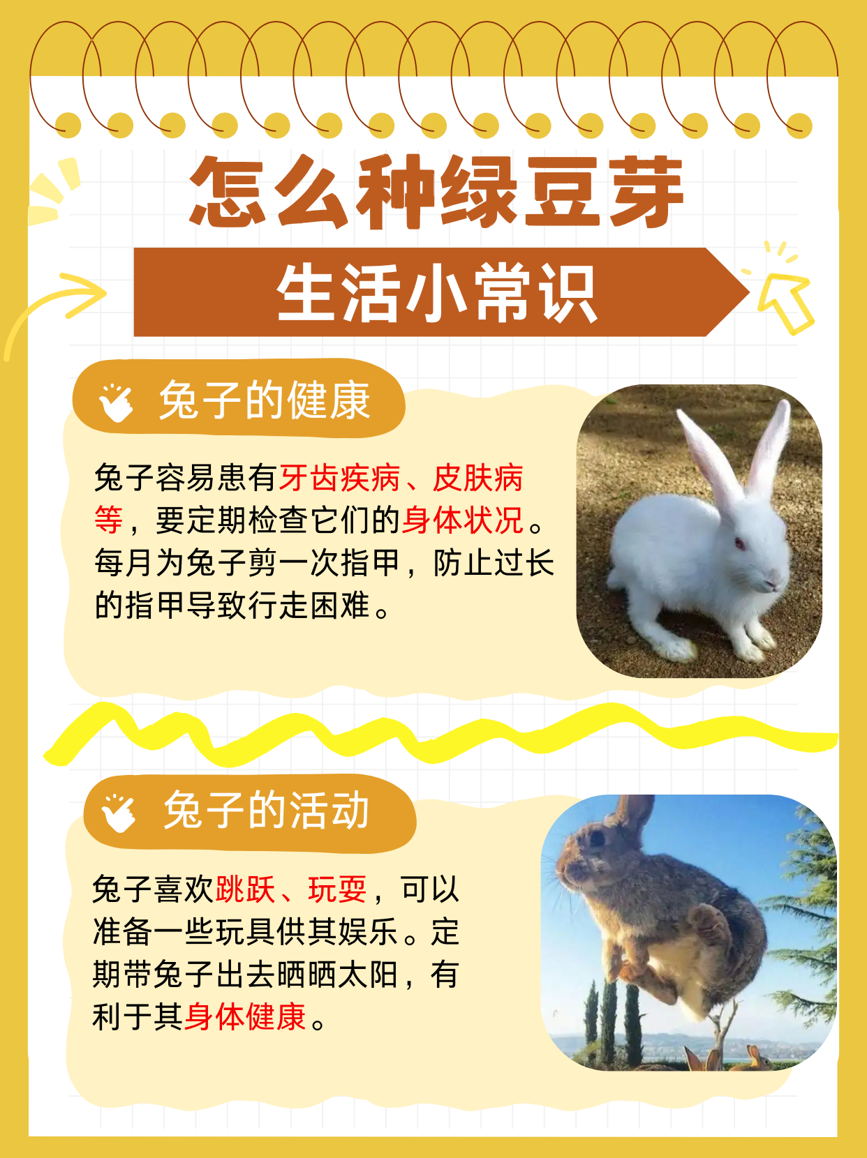 兔子好软水好多是什么意思兔子好软水好多h15-第2张图片