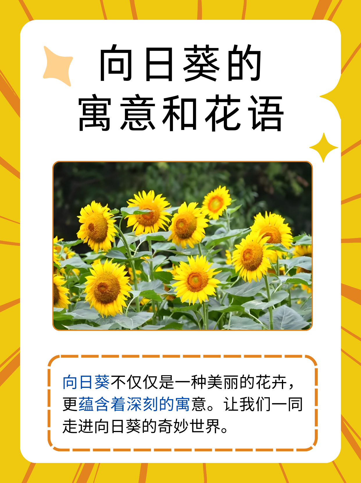 向日葵app免费下载官方网站幸福宝向日葵App官方下载网址及幸福宝介绍