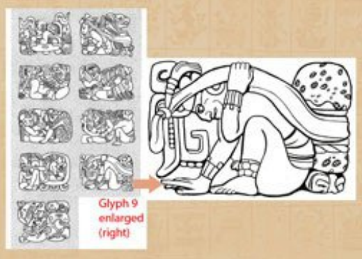 Maya论坛图霸天下，探索与交流的精彩世界