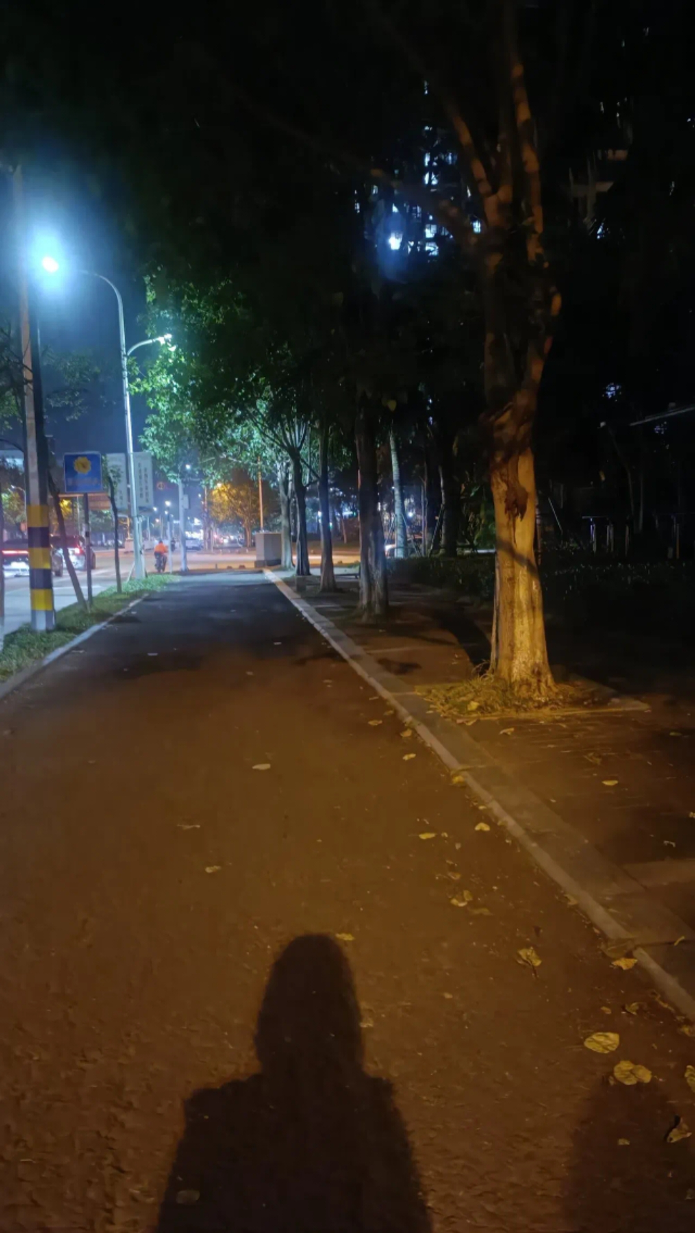 一个人看免费视频完整版体验