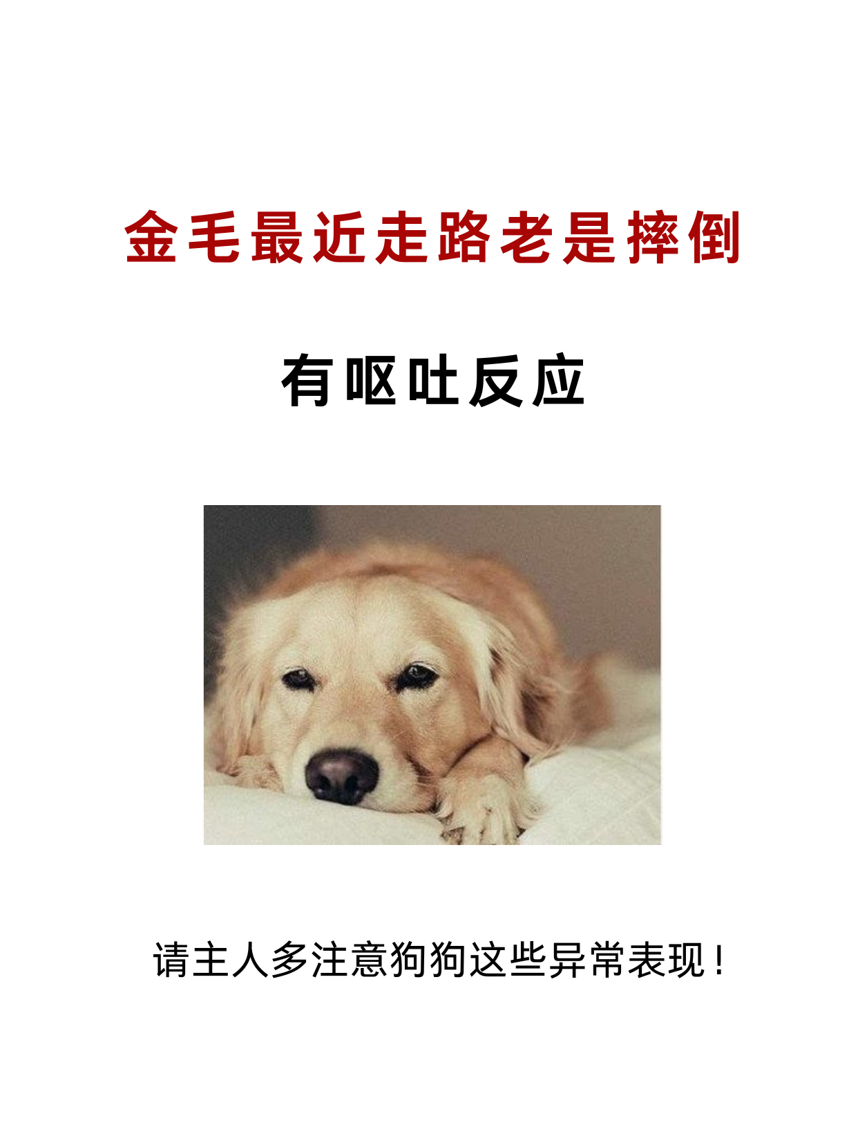 为什么狗狗进入后变大咨询实录狗狗进入时涨得难受