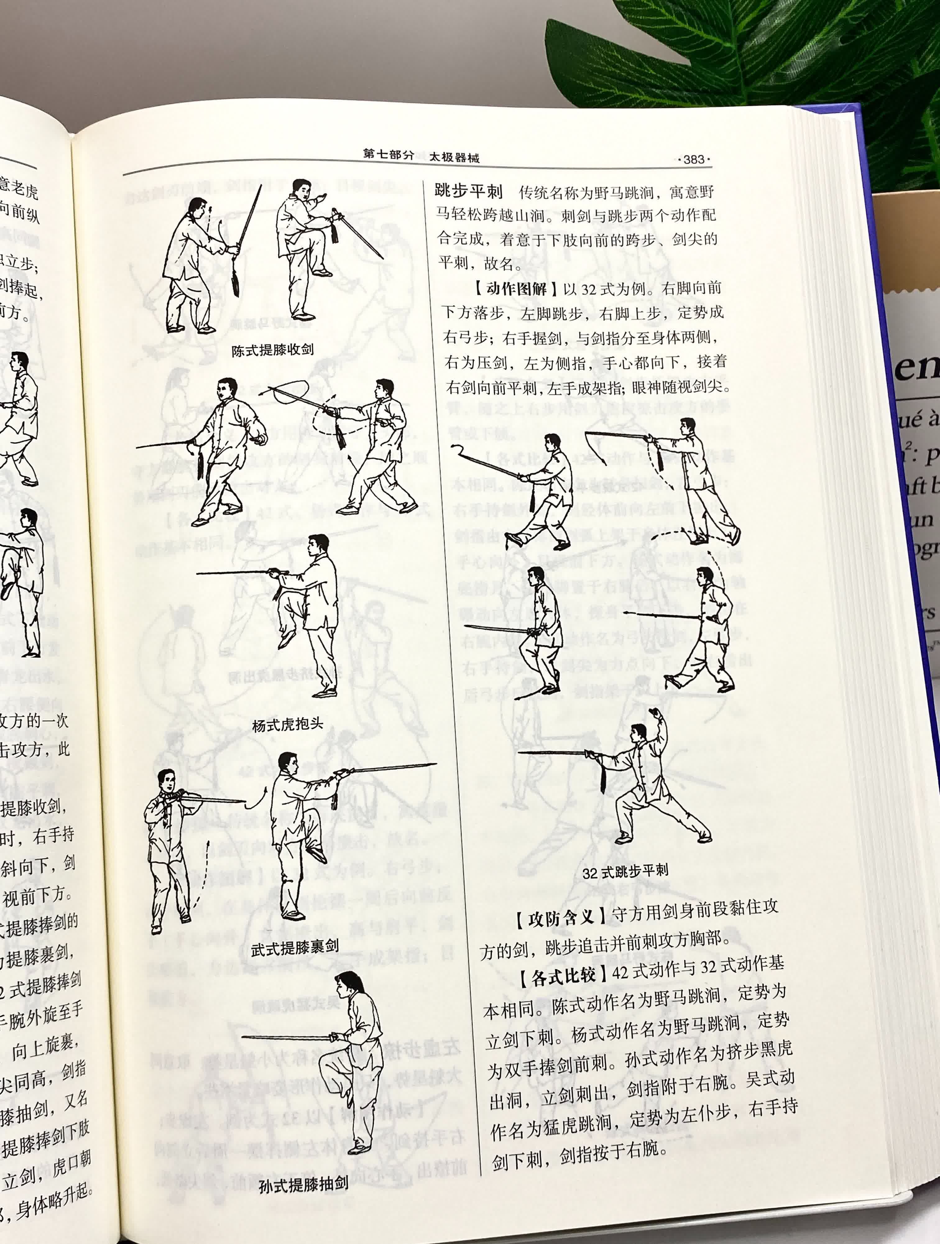 九阴真经太极拳，传统武术的瑰宝-第2张图片