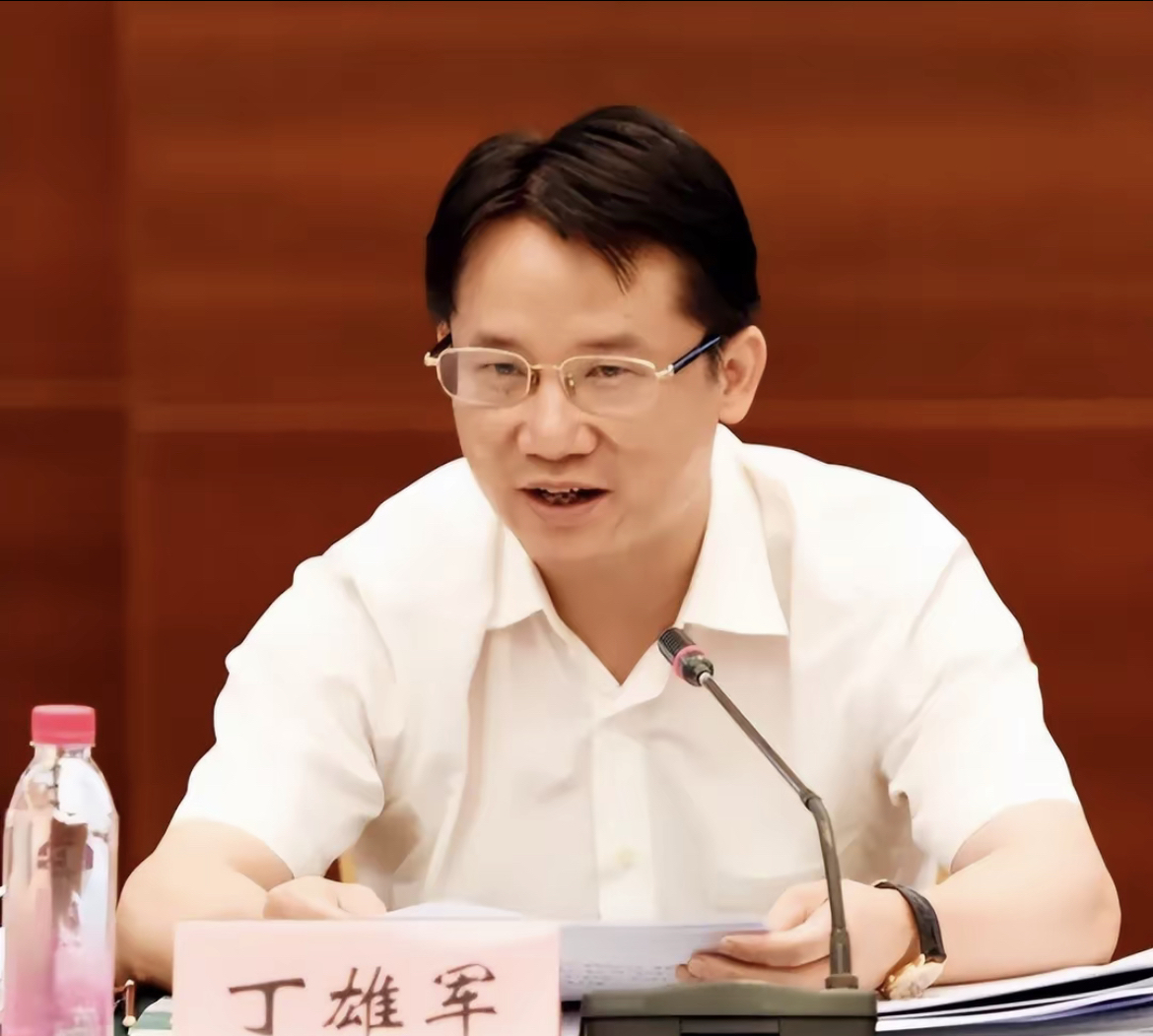 丁雄军，科技创新引领未来-第2张图片