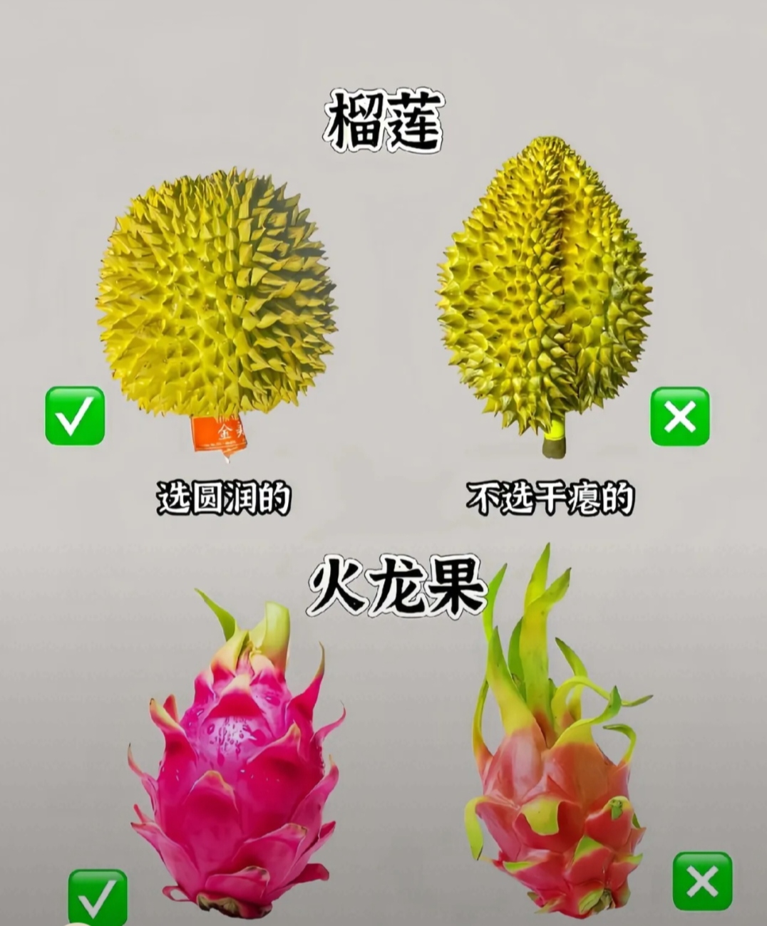 观音最爱的3个水果财神爷最爱的3个水果