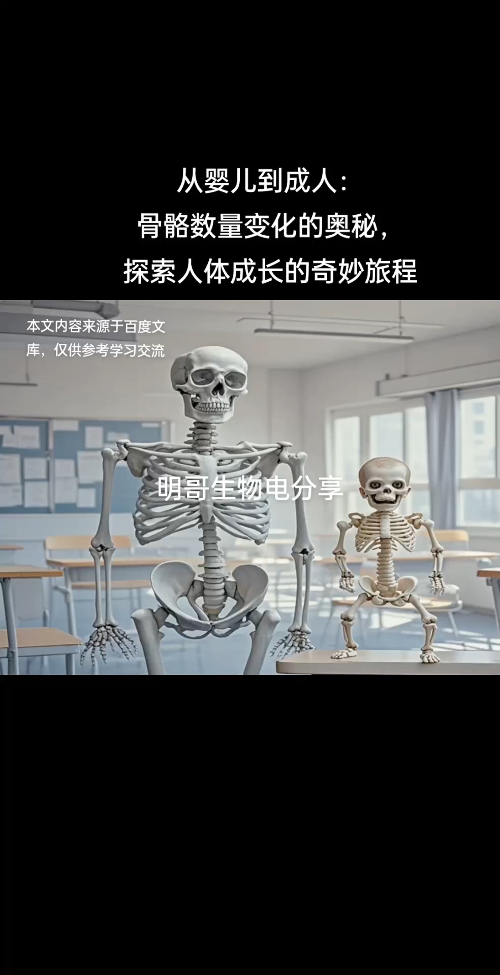 欧美成人一区亚洲一区欧美成人一区亚洲一区，探索多元文化的交融与界限