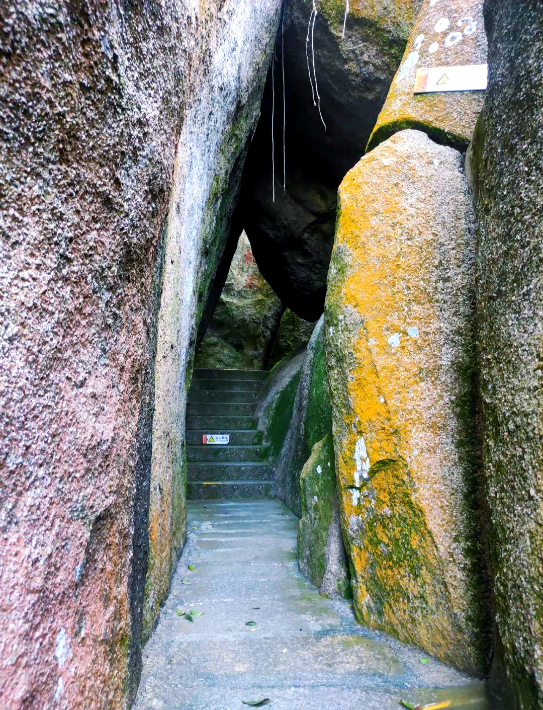 东山岭东山岭之旅-第3张图片