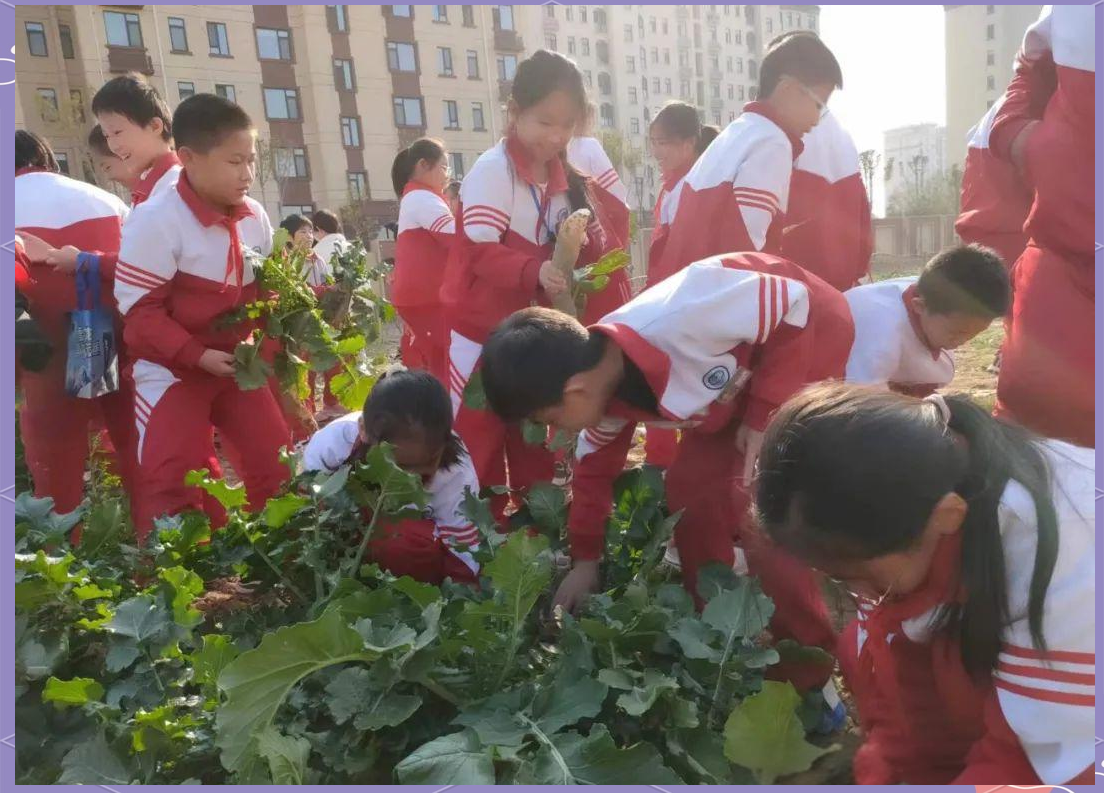 如何让自己体验拔萝卜如何体验拔萝卜-第3张图片