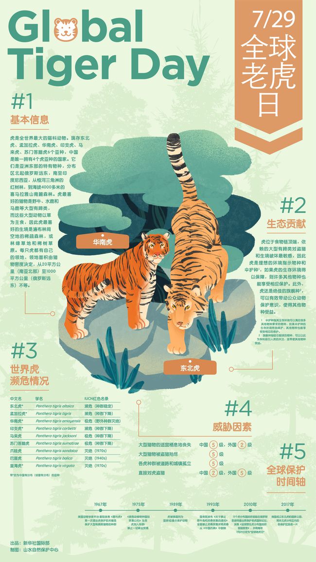 亚洲无线一二三四区手机市场概览
