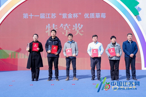 江苏十一选五开奖:结果江苏十一选五开奖结果图揭晓-第1张图片