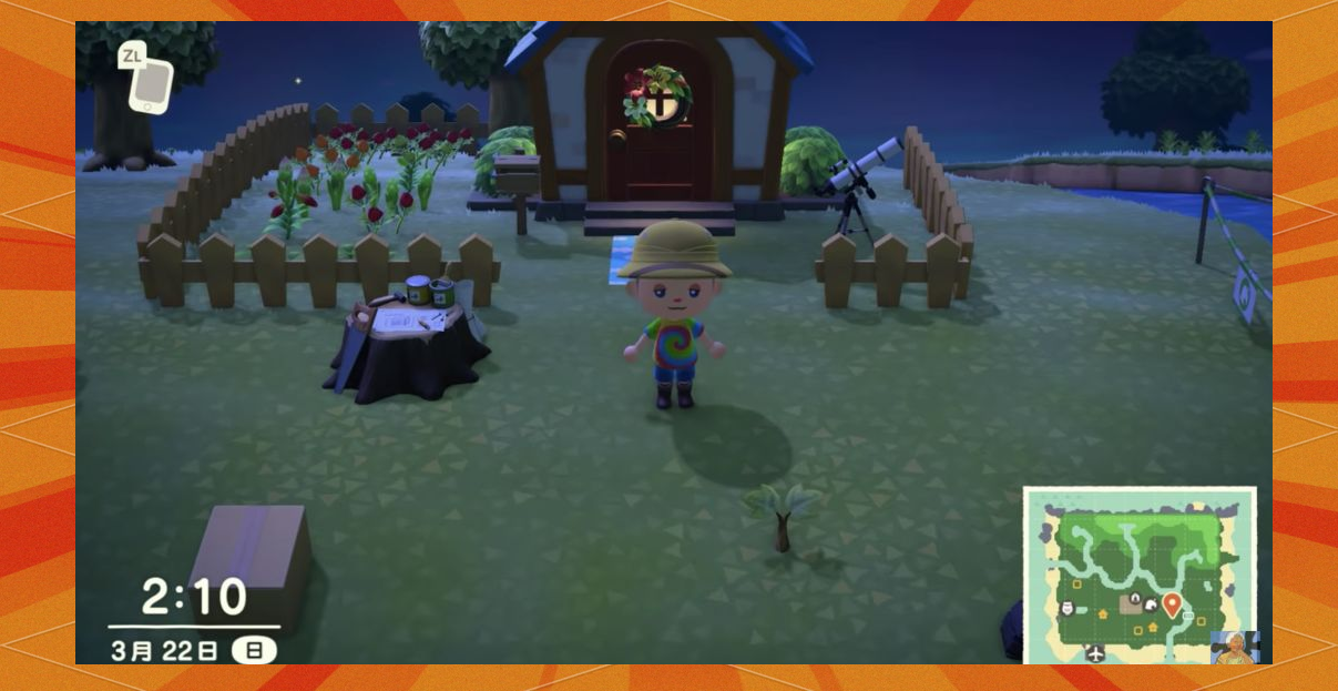 动物之森Switch，探索自然与心灵的栖息地