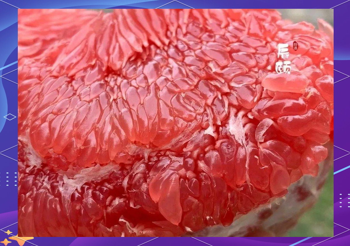 蜜柚视频下载高清蜜柚视频下载高清文章