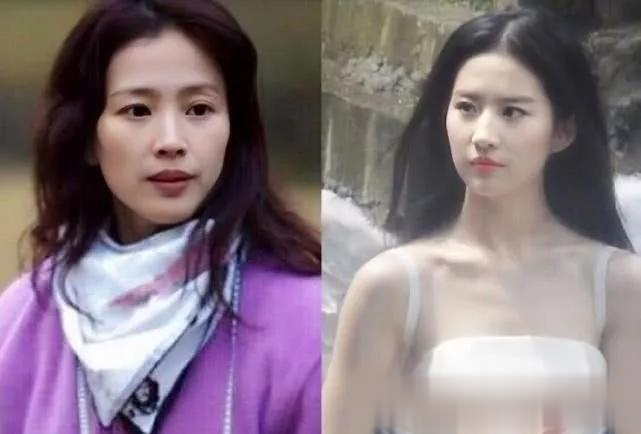 干女明星，星光璀璨的传奇-第2张图片