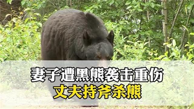 杀熊者欧兹那克欧兹那克的杀熊传奇