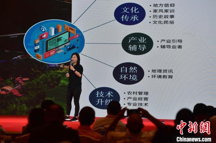 麻豆传煤网站APP入口免费使用指南