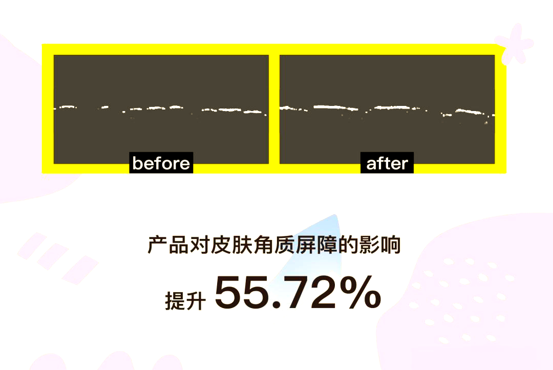 精华一区二区别精华一区与二区区别探讨-第2张图片