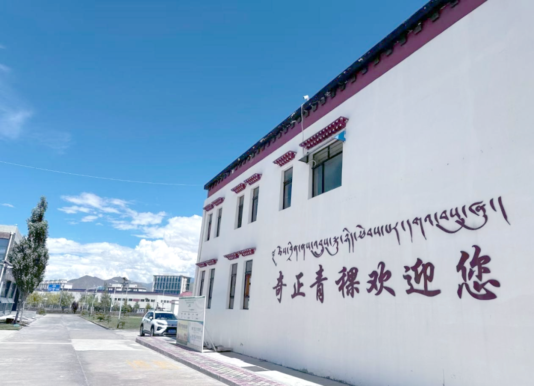 齐鲁风采qlfc，探索优质教育资源的新篇章