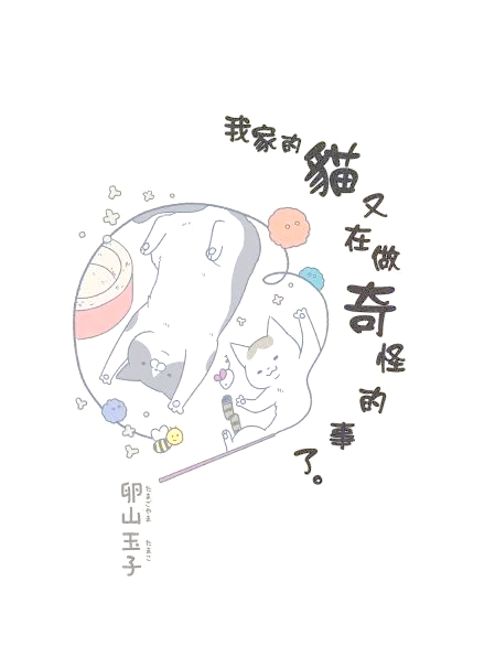 猫网，探索网络世界的奇妙世界-第3张图片