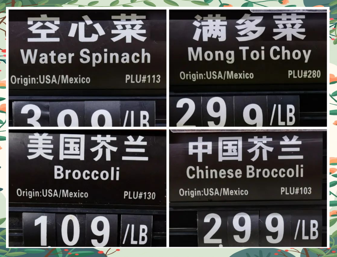 美国之旅，十次探访的深度体验