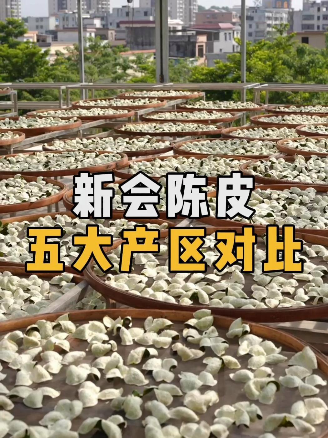 亚洲一线产区与二线产区的区别-第2张图片