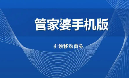 管家婆资料大全，管家服务与商业管理
