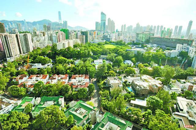 香港最真正最准资料，探寻真相的黄金指南