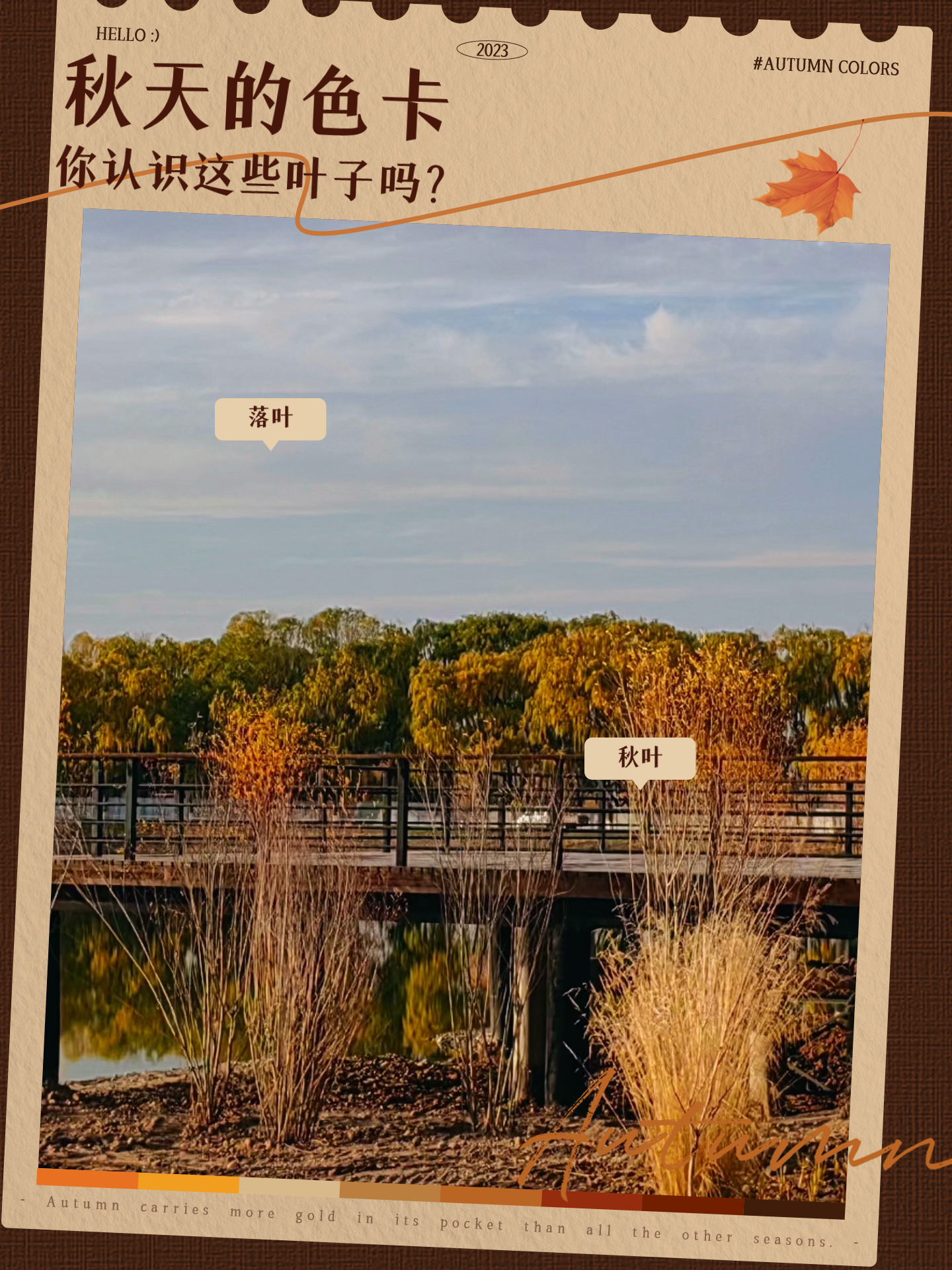 大理寺卿po林晚卿笔趣阁大理寺卿探秘林晚卿-第1张图片