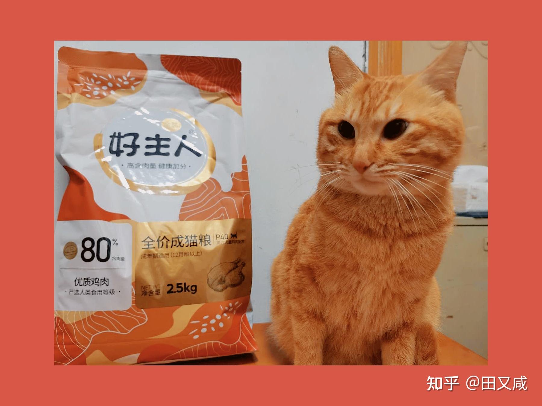 国产精品99国产精品99，品质之选