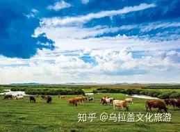 天堂的草原歌词天堂的草原