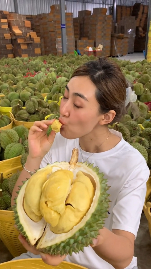 榴莲视频在线观看下载