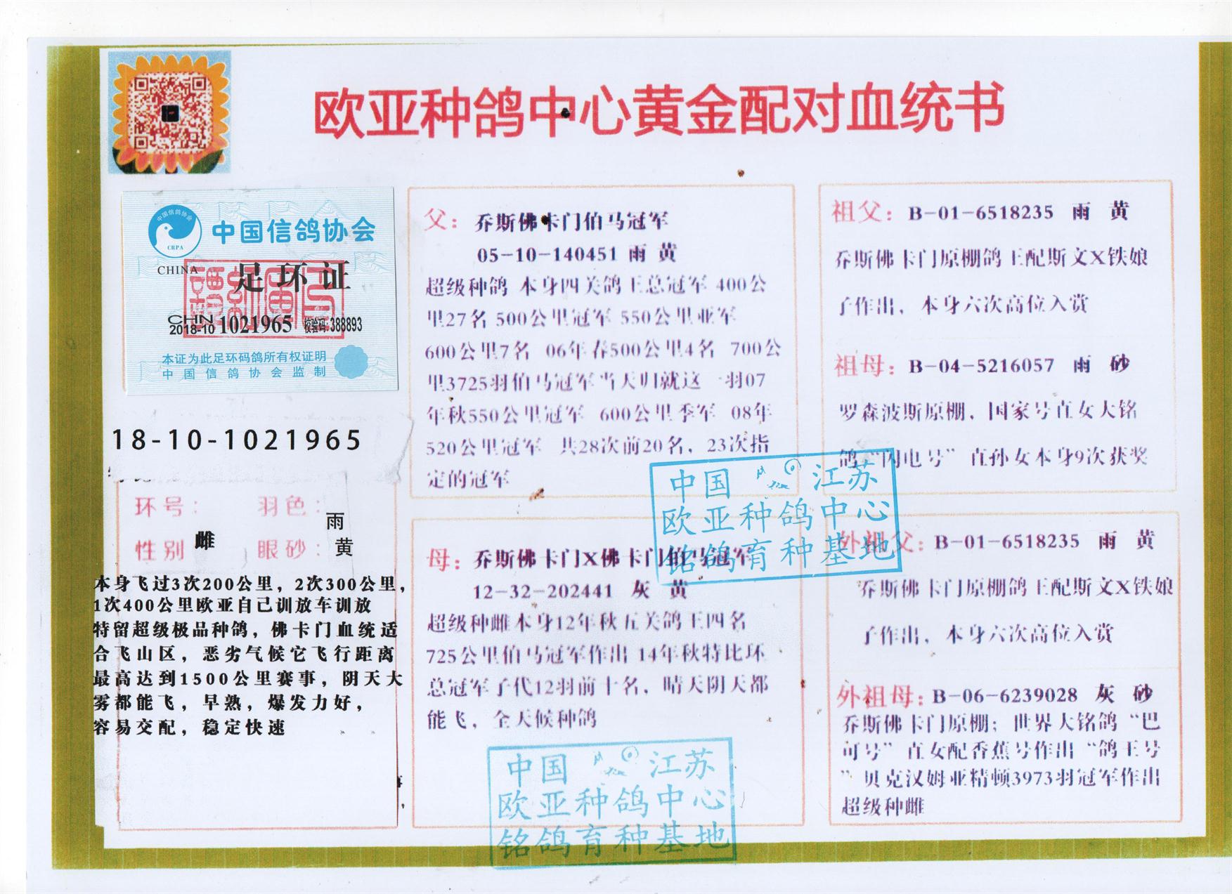香港二四六天天好彩免费活动概述