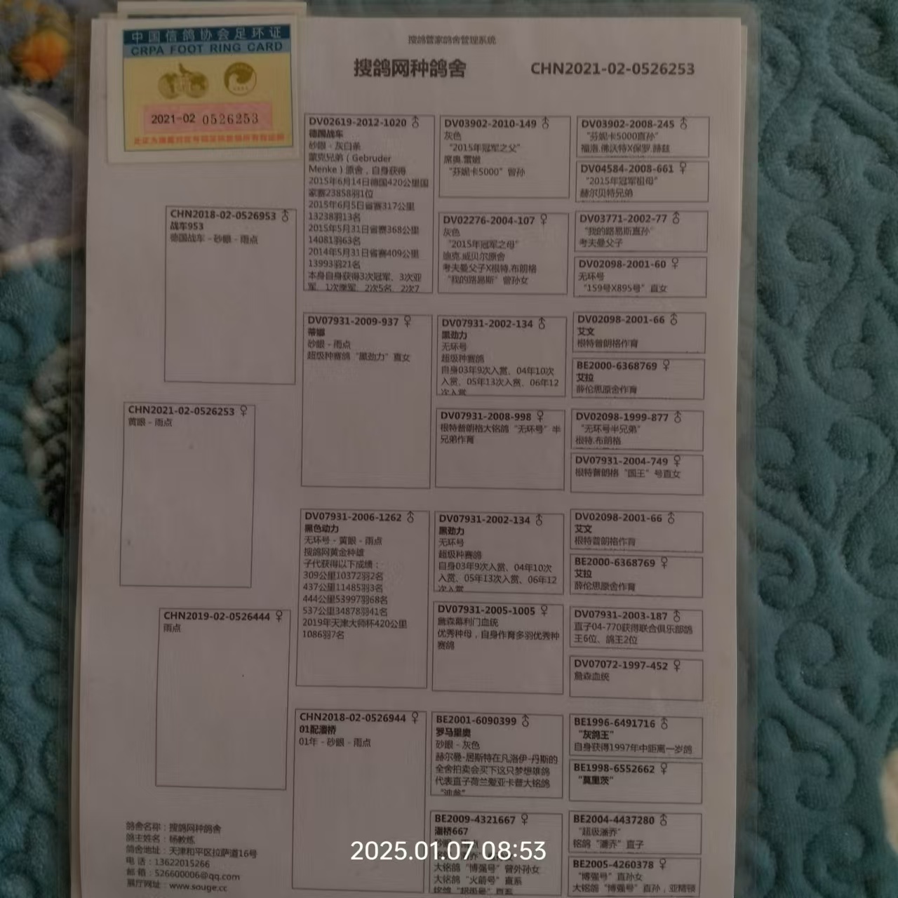 搜鸽网 成绩查询搜鸽网，高效便捷的鸽子交流平台