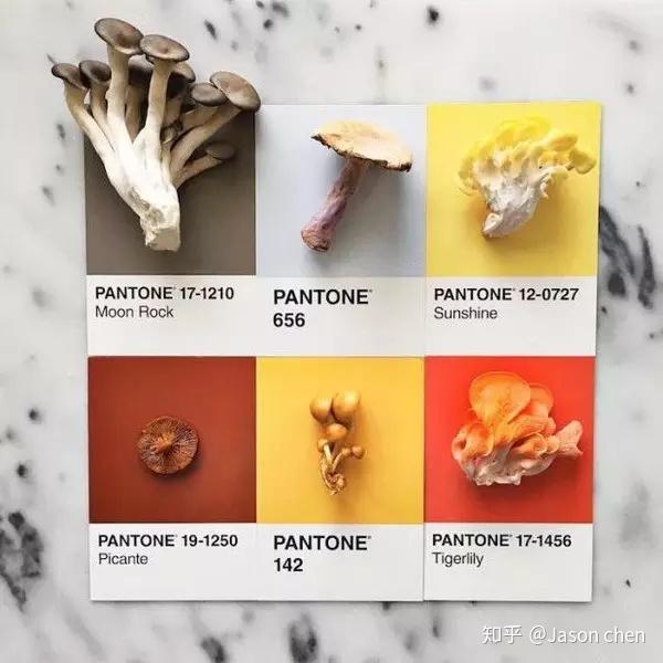 六色色卡六色影院，沉浸于视觉盛宴的奇妙世界-第2张图片