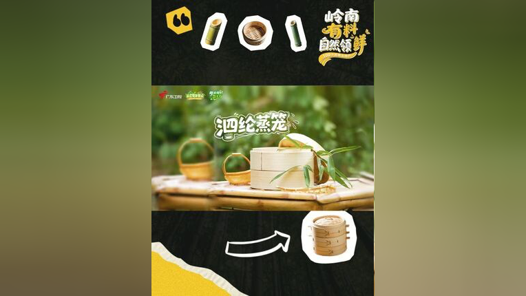 仙踪林 贰佰信息网仙踪林与贰佰信息网，探索音乐与信息的交汇点