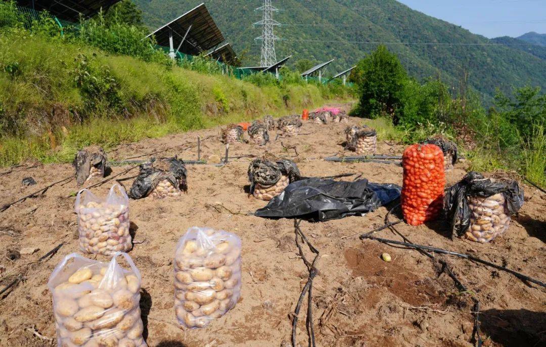 老窝鸭永久免费视频新地址老窝鸭永久免费视频新地址介绍-第1张图片