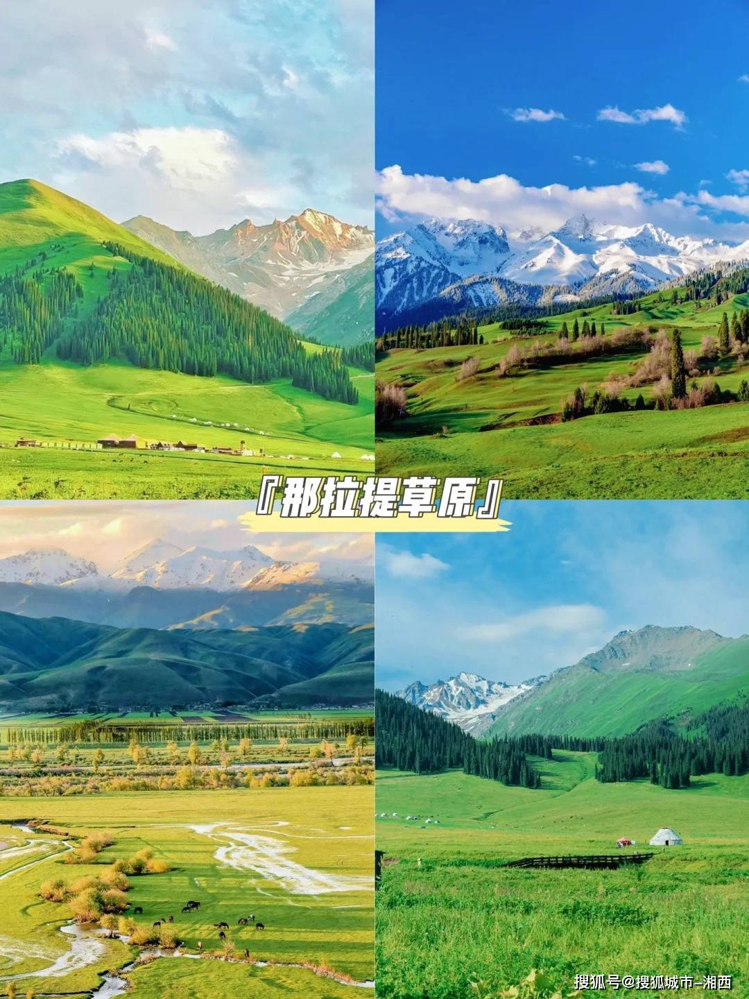 新疆天山之旅-第2张图片