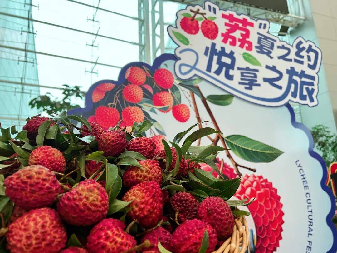 草莓苹果香蕉荔枝的美味之旅