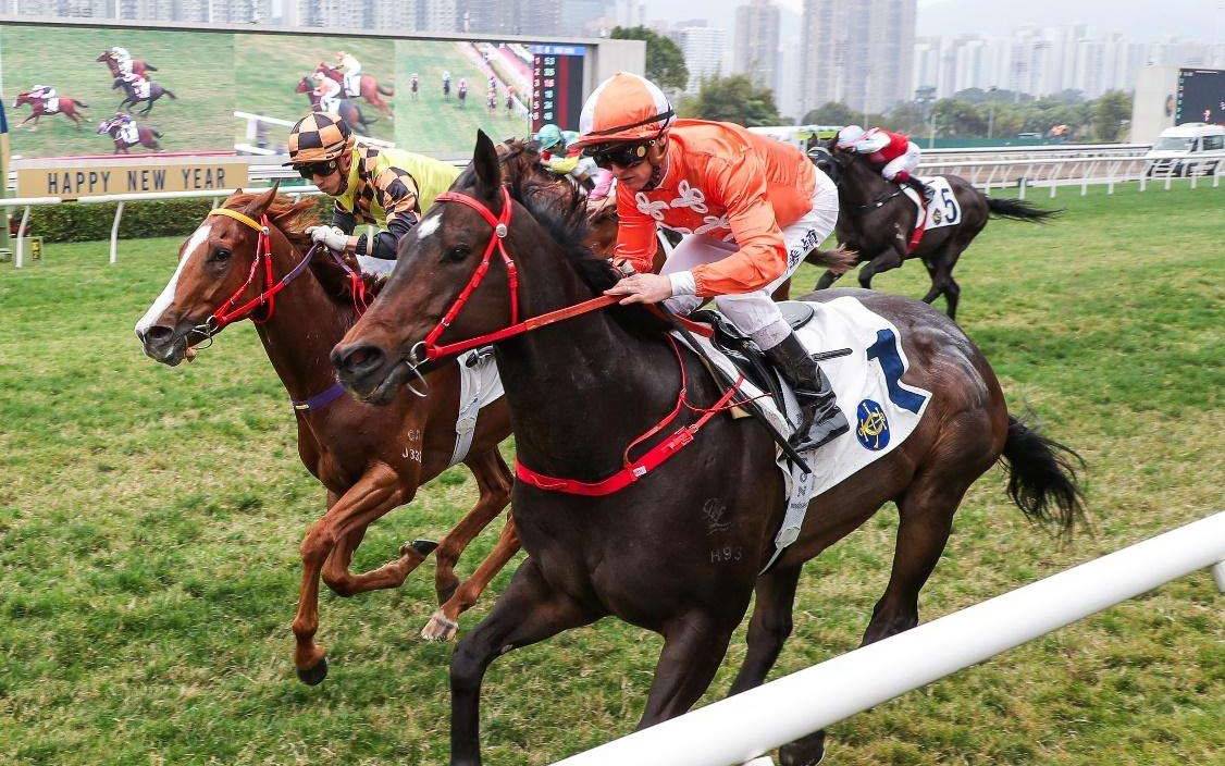 香港马赛马会最准资料香港马赛马会最准资料-第3张图片