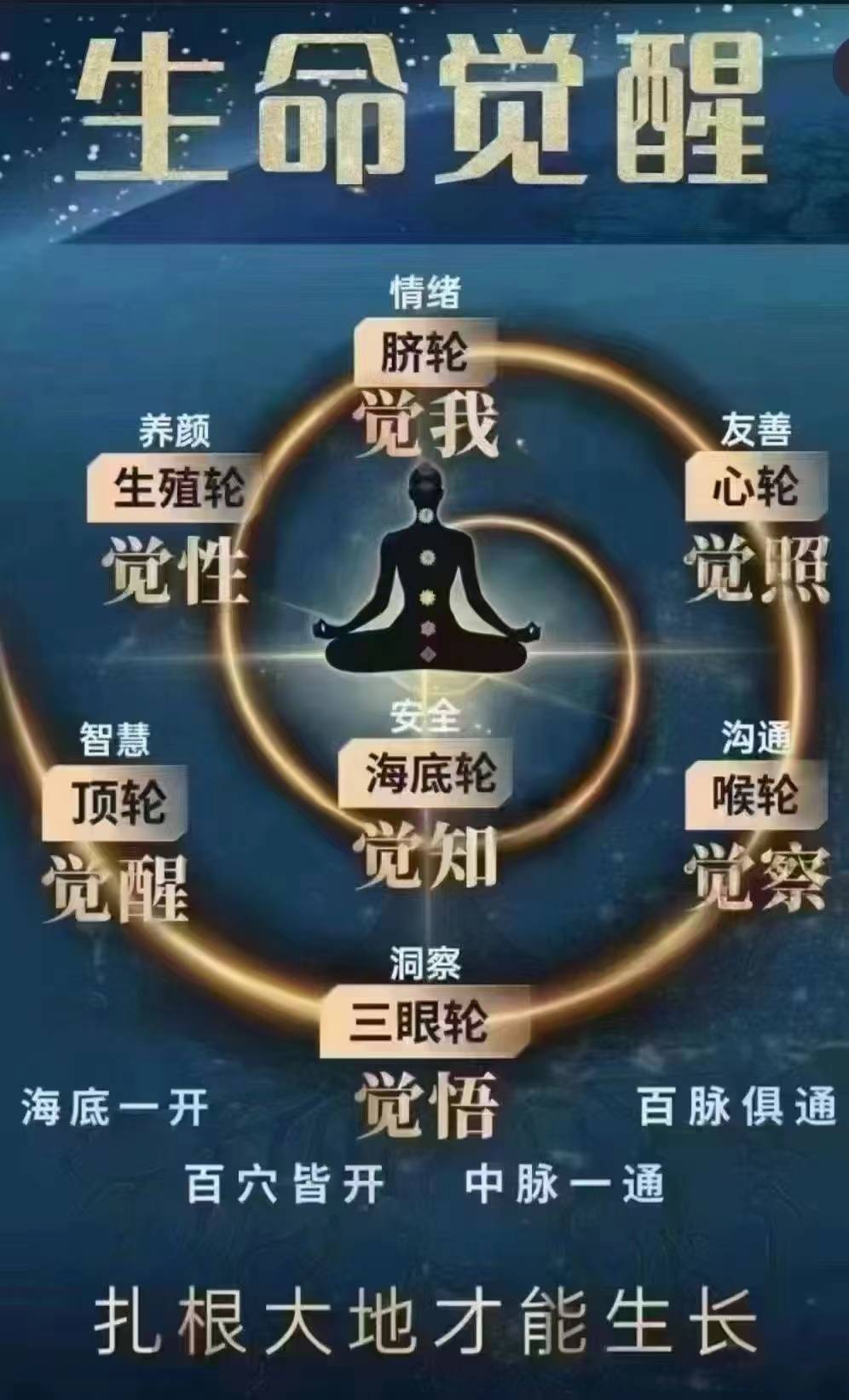 正能量无需下载，照亮心灵之光-第3张图片
