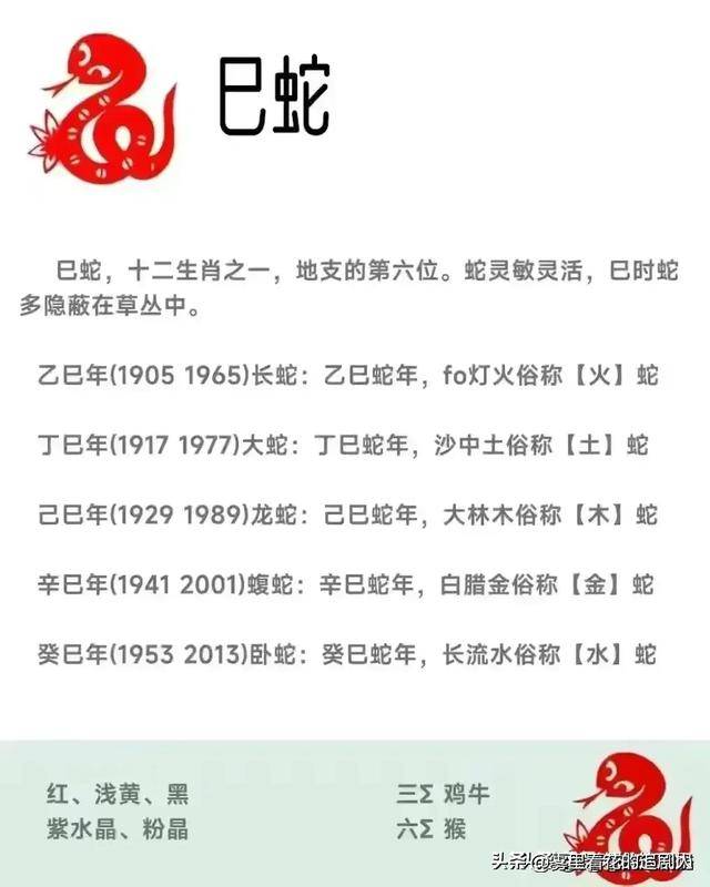 2024十二生肖49码表2024十二生肖49码表介绍-第3张图片