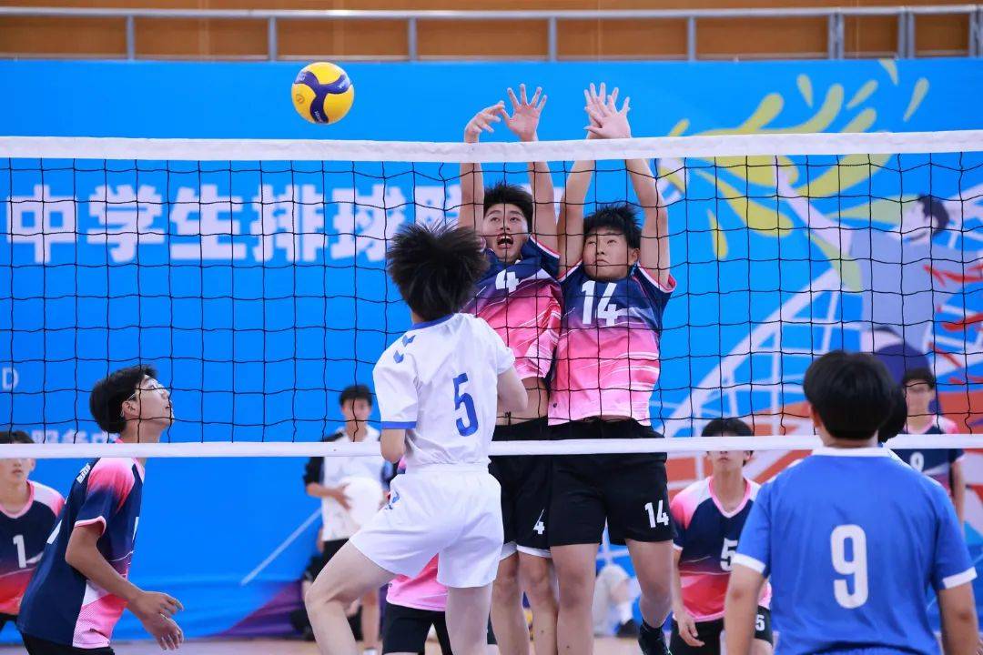 11选五开奖11选五开奖，揭秘神秘大奖