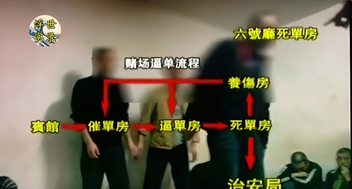 六和合彩网站，揭秘非法赌博的陷阱-第3张图片
