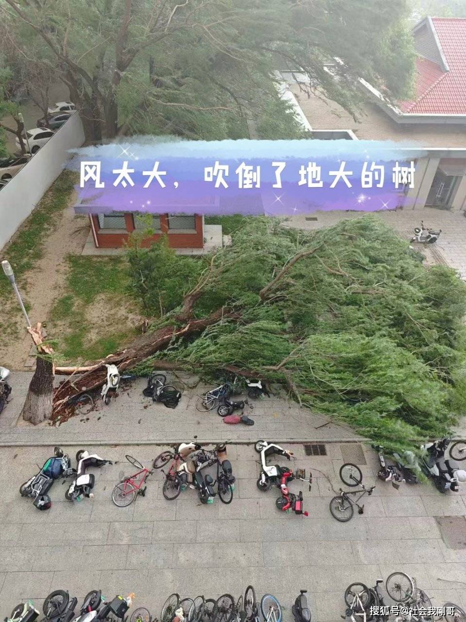 上海特大暴雨