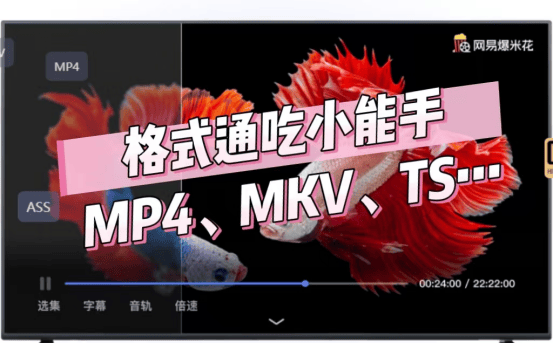 免费视频在线播放，探索啪的无限魅力