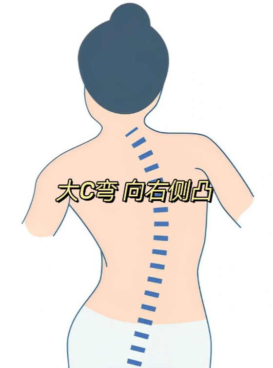 c点和G在哪个部位关键词，C点和G部位-第2张图片