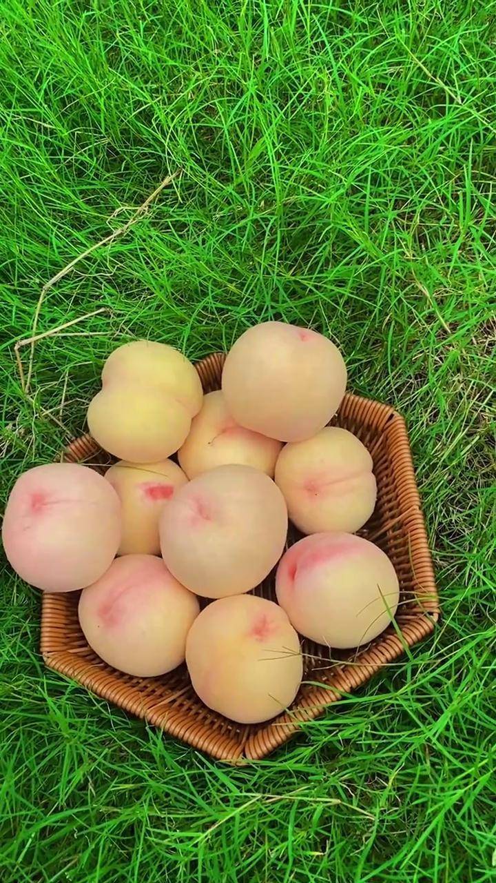 搞蜜桃，甜蜜之旅
